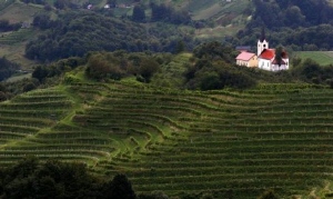 Die Landschaft von Haloze und Zagorje 
