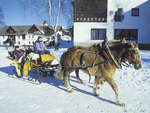 Wintersport Harrachov