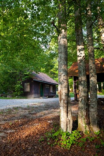 Dolenjska Gotscheer Ur-Wald, Slowenien