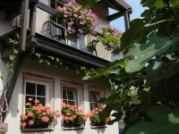 jedes Aptm. hat entweder einen Balkon oder eine Terrasse