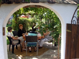 gemütliche Runde unter Feigen und Trauben