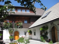 Ferienhaus in Studor v Bohinju