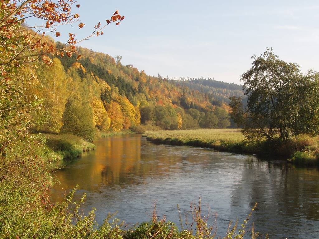 Saalefluss