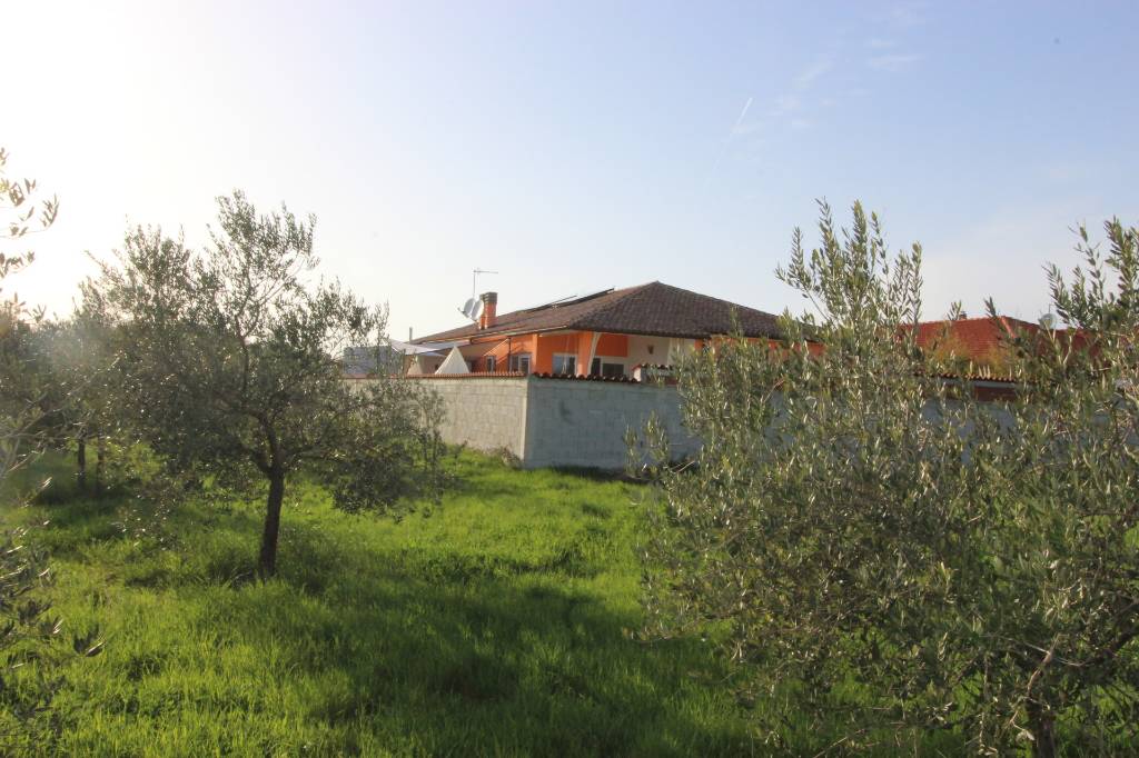 Der Blick auf das Ferienhaus von dem Olivengarten