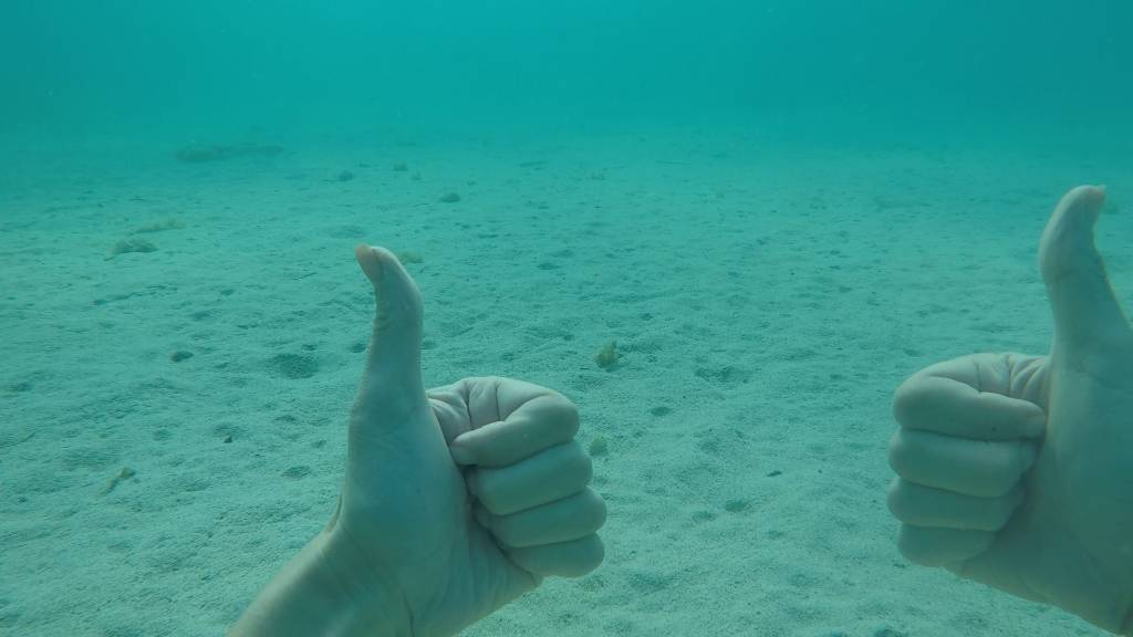 Diving - close to Skojic