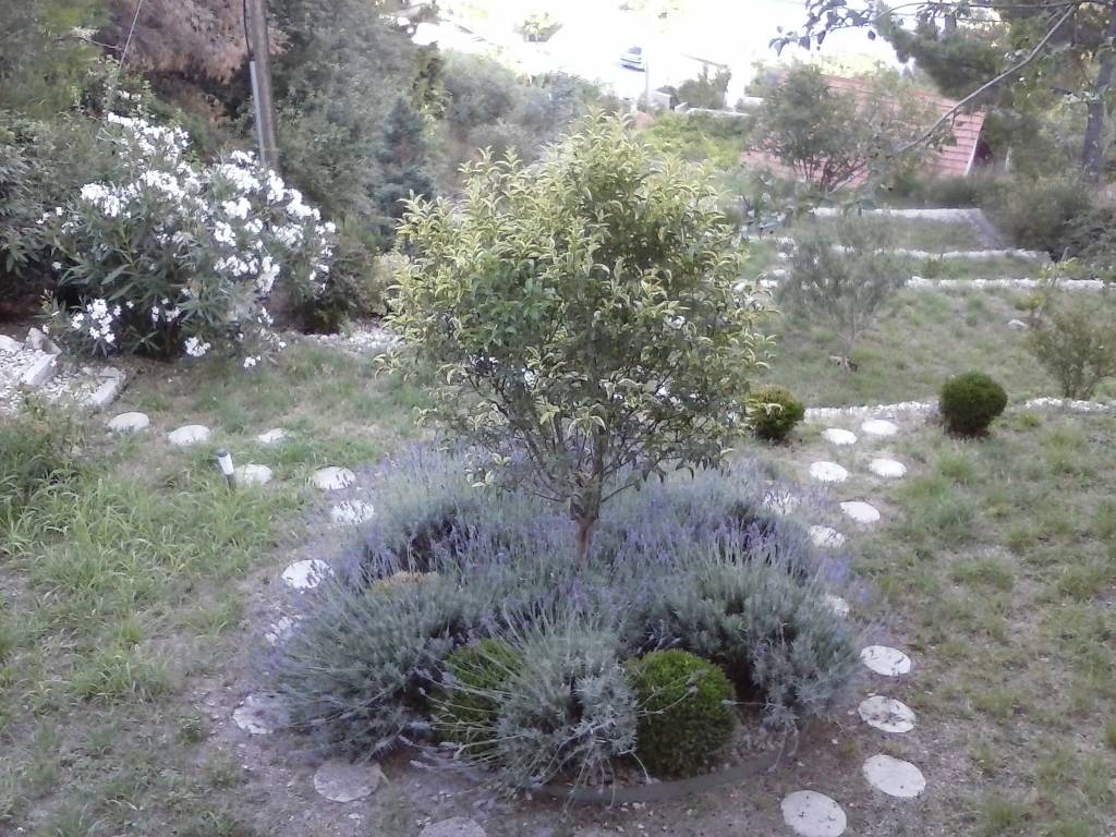 Garten-blick von der Terrasse