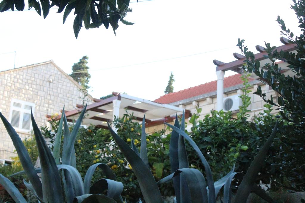 Terasse aus dem Garten