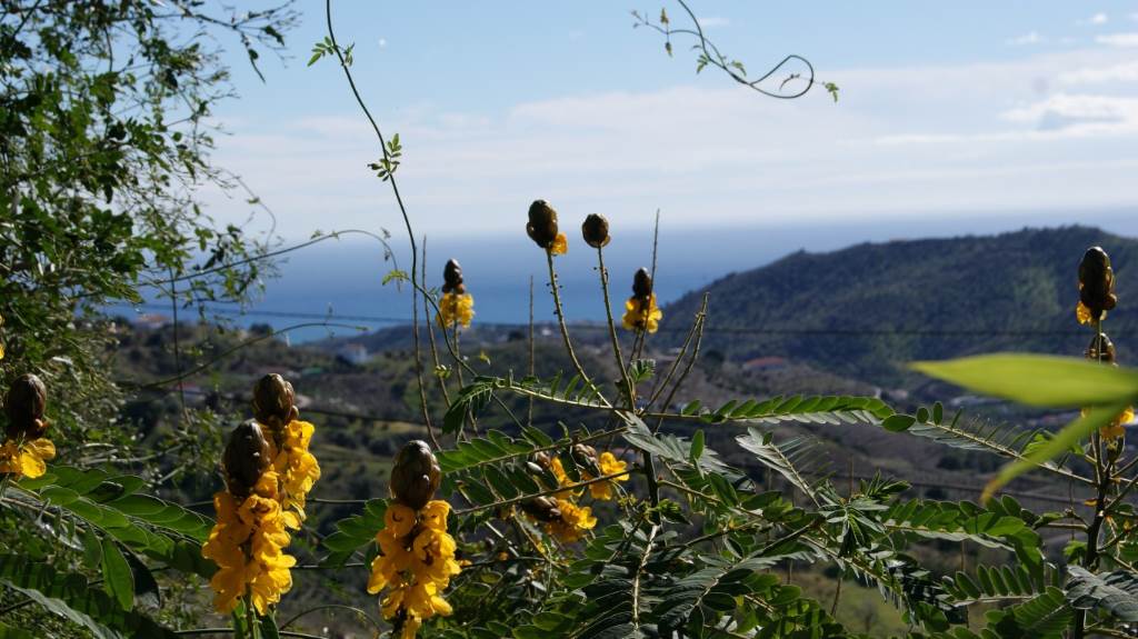 Blick über die Landschaft und Meer