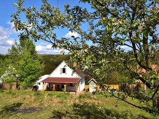 View of the house and garden