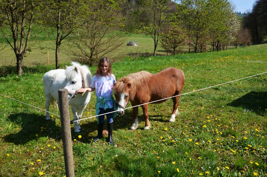 Unsere Ponys