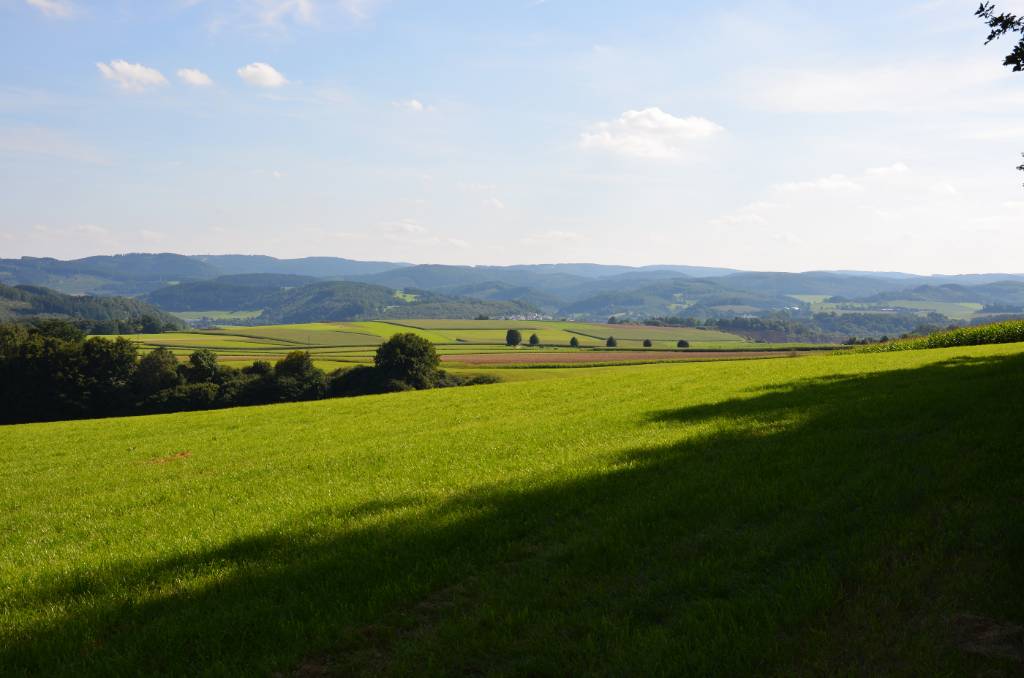 Natur Pur im Melbecketal des Sauerland.