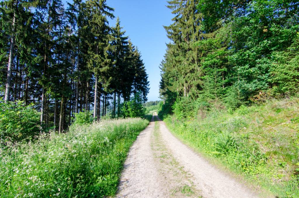 Natur Pur im Melbecketal des Sauerland.