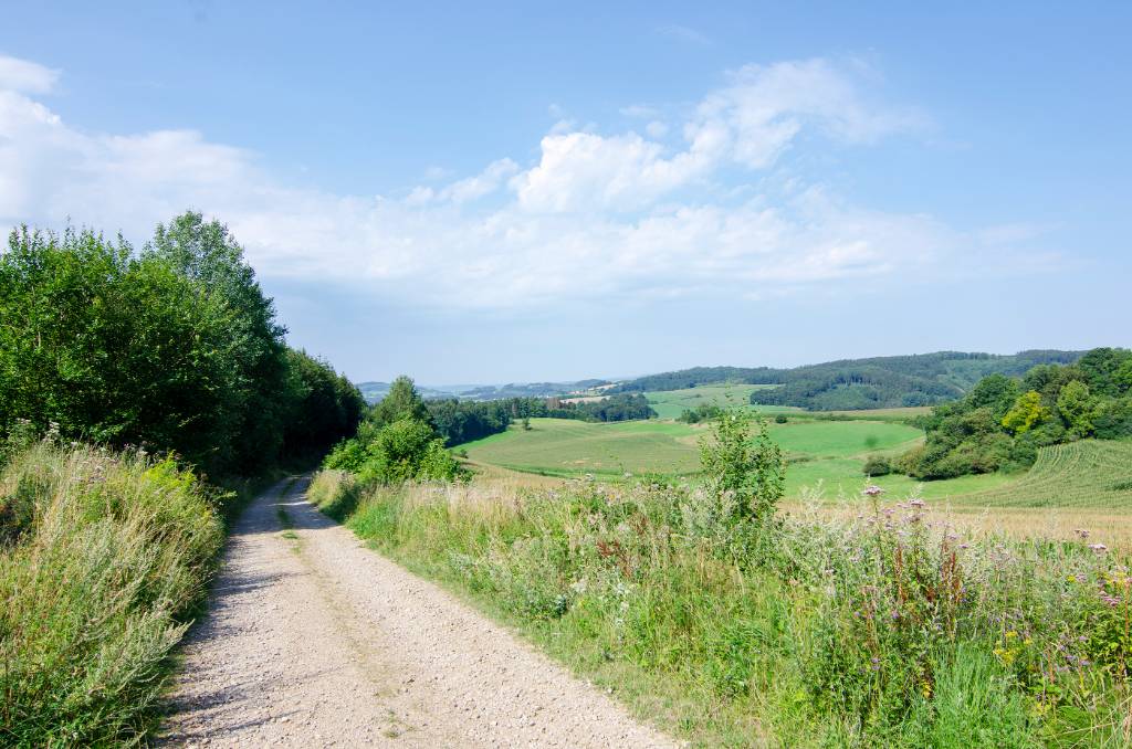 Natur Pur im Melbecketal des Sauerland.