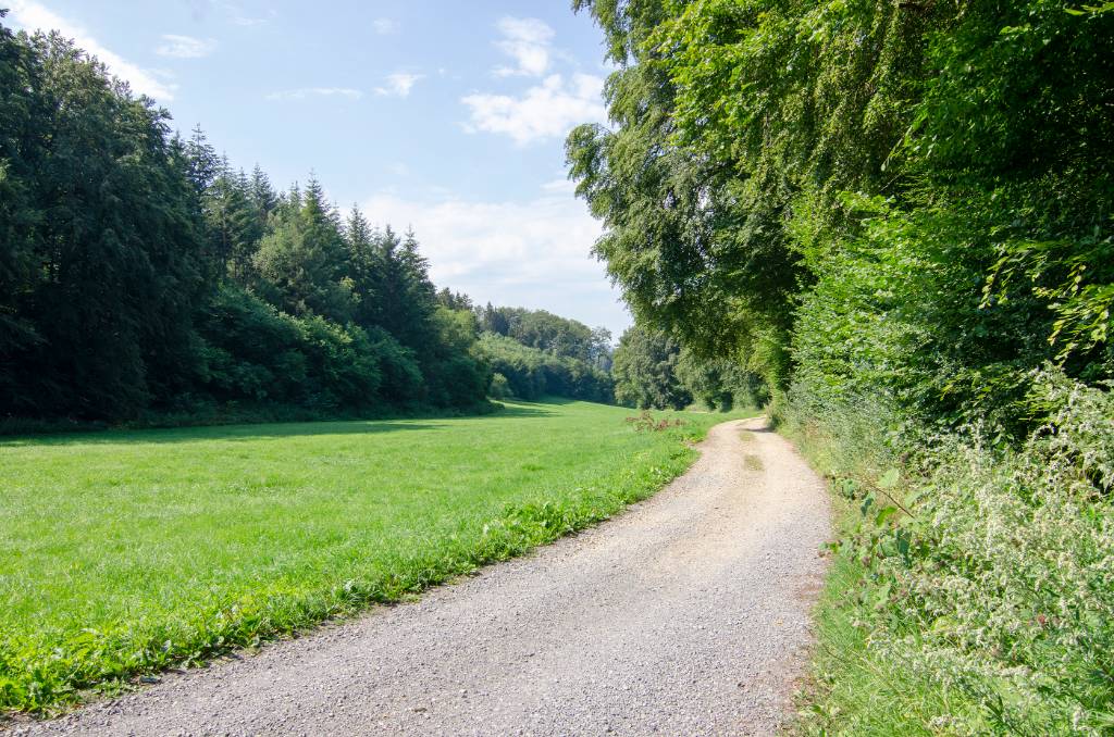 Natur Pur im Melbecketal des Sauerland.