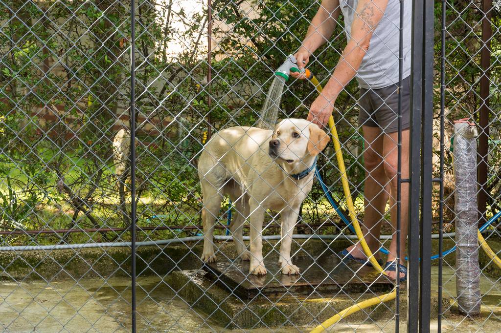 Hundedusche ist auch da:)