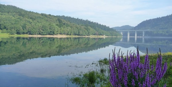 Bayersee Fužine