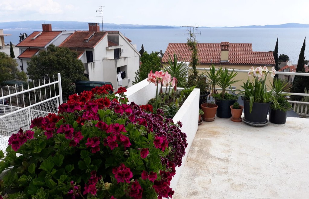 Garten - untere Terrasse