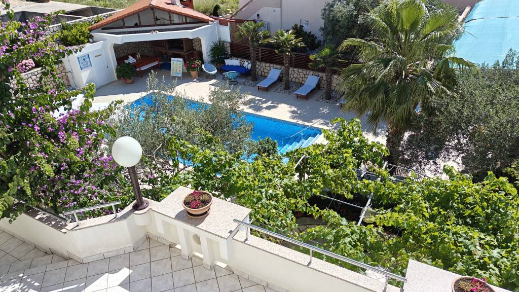 Blick auf den Pool und den Garten