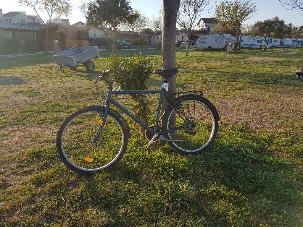 Der Frühling ist ideal zum Radfahren