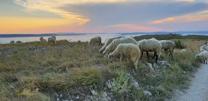 Die unberührte Natur in Ljubač.