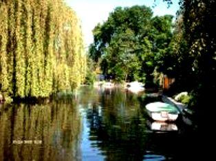 Blick  vom Grundstück zur Havel