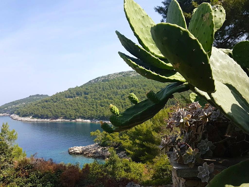 Meerblick vom Steinhaus